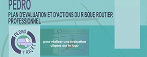 Evaluation and action plan of road risk